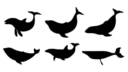 set of Blue whale silhouette vector on white background