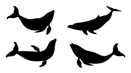 set of Blue whale silhouette vector on white background