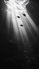 Obraz premium Underwater Sunbeams & Fish