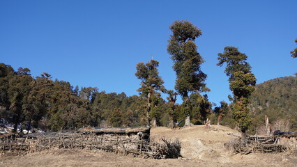 gui campsite dayara Bugyal