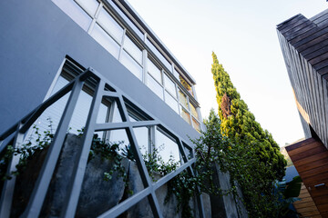 Modern building facade is featuring blue-gray windows in yard, with geometric railing and planters