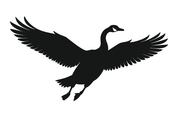 Fototapeta premium Silhouette of a Canadian Goose in Flight with Wings Spread Wide