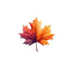 A close up image of a single maple leaf displaying the vivid warm colors of the autumn season against a clean white background