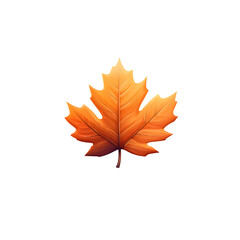 Fototapeta premium A single beautifully shaped maple leaf in warm autumnal orange colors set against a simple clean white backdrop for a minimalist serene and reflective aesthetic