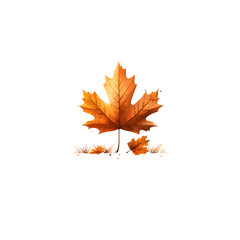 Fototapeta premium Close up of a vibrant orange maple leaf against a plain white background showcasing the intricate details and natural beauty of autumn foliage