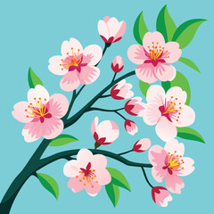 cherry blossom background