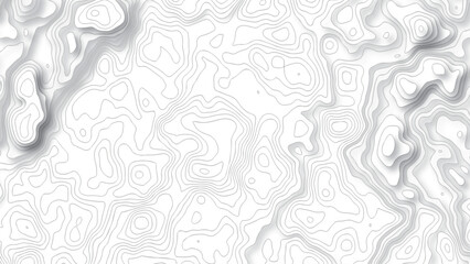 Fototapeta premium Topography white background and black line wireframe isoline location diagram world map texture design .