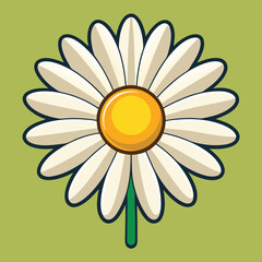 daisy flower vector illustration