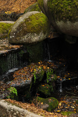 Autumn nature, Autumn waterfall close up. Yellow leaves in water and on wet rocks.
