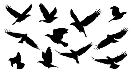 set of black bird silhouette vector on white background