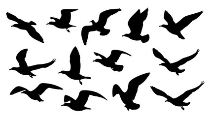 set of black bird silhouette vector on white background