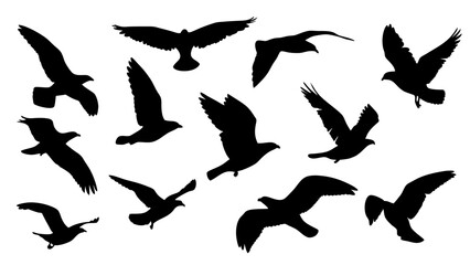 Obraz premium set of black bird silhouette vector on white background