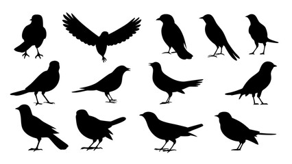 set of black bird silhouette vector on white background