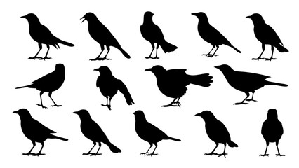 set of black bird silhouette vector on white background