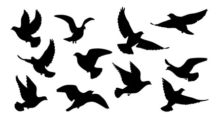 set of black bird silhouette vector on white background