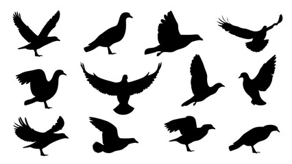 set of black bird silhouette vector on white background