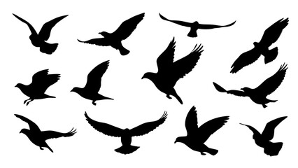 set of black bird silhouette vector on white background