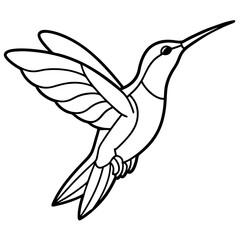 Obraz premium Sleek Hummingbird Outline Vector Design