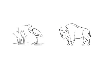 Outline Illustration Of A Heron In Water And An American Buffalo