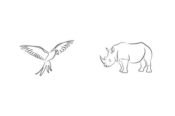 Line Art Illustration Featuring A Parrot In Flight And A Rhinoceros