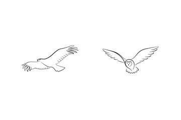 Eagle And Owl In Flight Black Line Drawing Vector Illustration