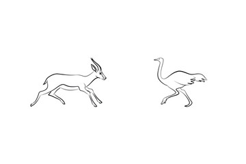 Minimalist Outlines Of Running Gazelle And Ostrich On White Background