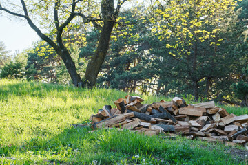 Firewood in the forest. Stack of firewood. Pile of firewood on the meadow. Selective focus