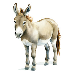 Obraz premium Big Full Body Illustration of a Donkey Standing Proudly in a Charming and Realistic Style