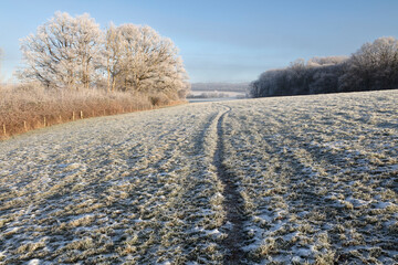 Footpath through frosty fields in winter landscape, Burwash, East Sussex, England, United Kingdom,...