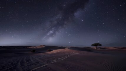 night in the desert