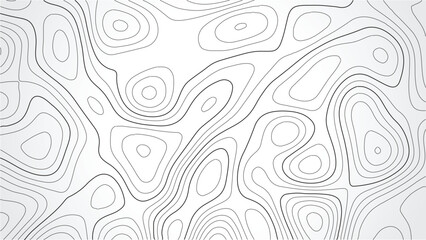 abstract sea map and mounted map area space geometric line technology topo landscape grid map texture. Abstract topo contour map on white background, Vector illustration. Wavy pattern design.