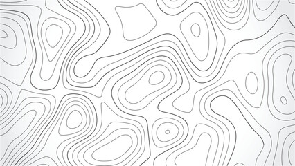 abstract sea map and mounted map area space geometric line technology topo landscape grid map texture. Abstract topo contour map on white background, Vector illustration. Wavy pattern design.