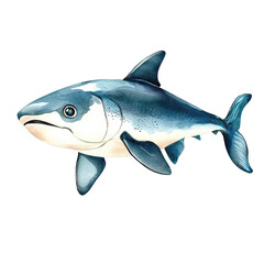 Fototapeta premium Isolated Cobia Fish Illustration with Detailed Features and Vibrant Colors for Educational and Artistic Purposes