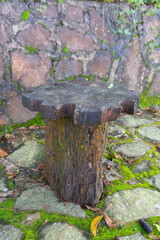Handmade Wooden Chair in the Middle of Forest