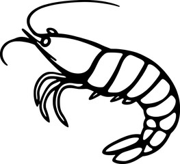 Black And White Line Drawing Of A Single Shrimp