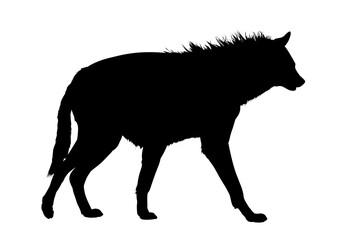 Silhouette of a hyena – vector illustration