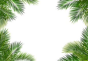 Obraz premium Border With Palm Tree Leaves