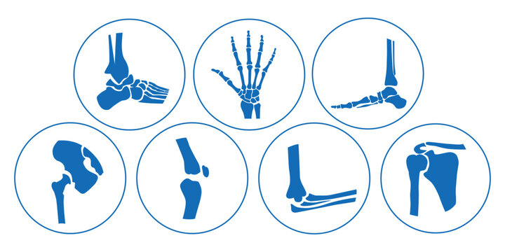 Set of Orthopedic Clinic Icons with Blue Circles on White Background Featuring Bones, Hands, Legs, Feet, Knee Joint, and Arm &ndash; Vector Illustration