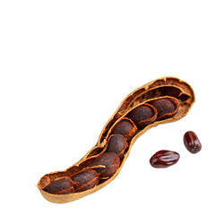Obraz premium A brown python, a wild and dangerous reptile with close-up scales, slithers isolated on a white background