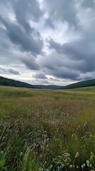 Obraz premium Cloudy Sky Over Tall Grass Field