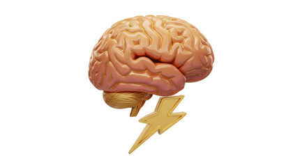 Isolated Brain with a Thunder