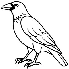 Abstract One-Line Crow Vector Illustration