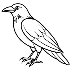 Abstract One-Line Crow Vector Illustration