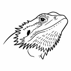 vector illustration of a cartoon fish