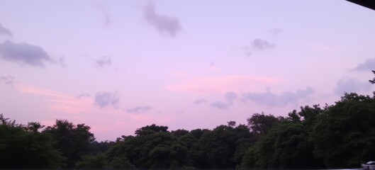 Serene twilight view of trees against a pastel sky at dusk.