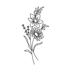 Hand drawn of flower vector. Wildflower line art bouquets, wild plant, botanical vector illustration	