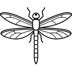 Sea Dragonfly Minimal Line Illustration