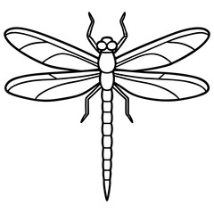 Sea Dragonfly Minimal Line Illustration