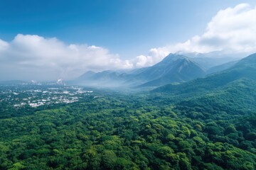 wide aerial view shows sprawling green forest juxtaposed beside industrial plant with visible pollution illustrating