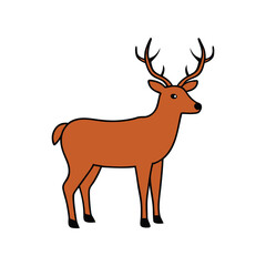 deer vector illustration